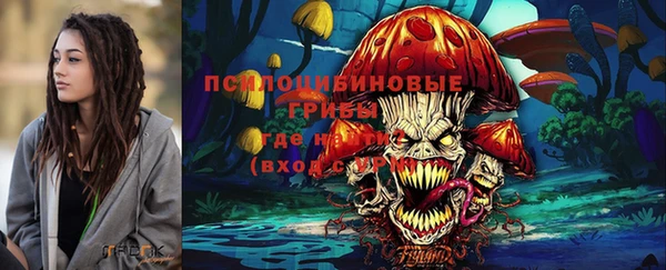 соль ск Нягань