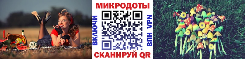 наркотики  Устюжна  Псилоцибиновые грибы Psilocybe 